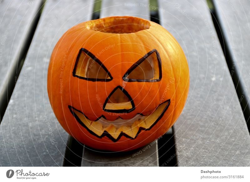 Geschnitzter Halloween-Kürbis auf einer eisigen Picknickbank Lebensmittel Gemüse Frucht Gesicht Freizeit & Hobby Dekoration & Verzierung Feste & Feiern Herbst