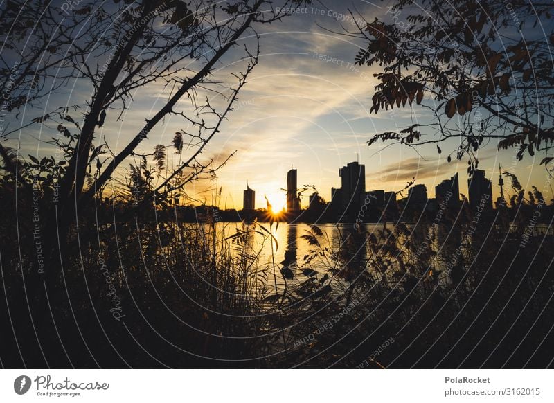 #S# Alte Donau Stadt Hauptstadt Glück Wien Sonnenuntergang Großstadt Grossstadtromantik Hochhaus Baum friedlich lebenswert Schilfrohr Sonnenstrahlen Herbst