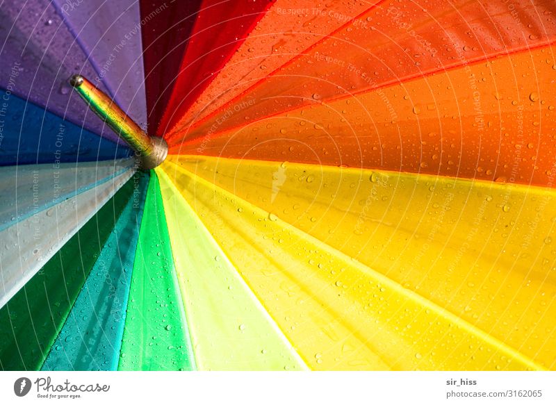 Rundherum bunt Regenschirm Spitze Farben Regenbogen Schirm Tropfen nass aufgespannt drehen Regenbogenfarben rot gelb grün violett Segment