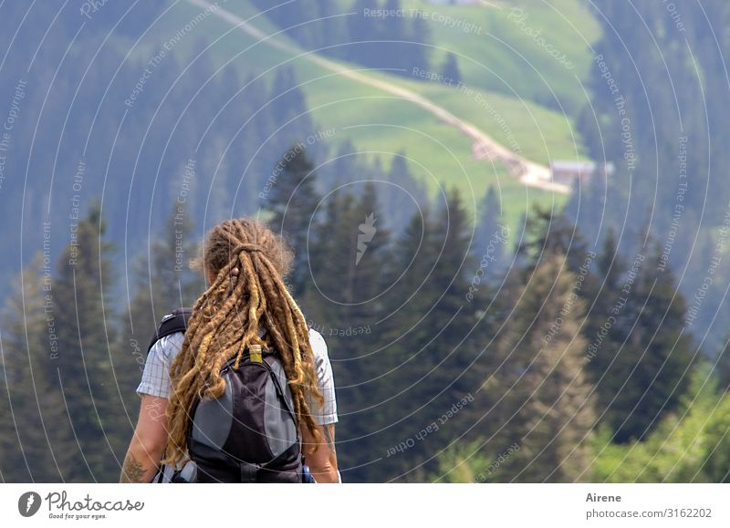 da drüben geht's weiter | AST6 Inntal Ausflug Berge u. Gebirge wandern Frau Erwachsene Oberkörper 1 Mensch 30-45 Jahre Landschaft Schönes Wetter Wald Alpen Alm