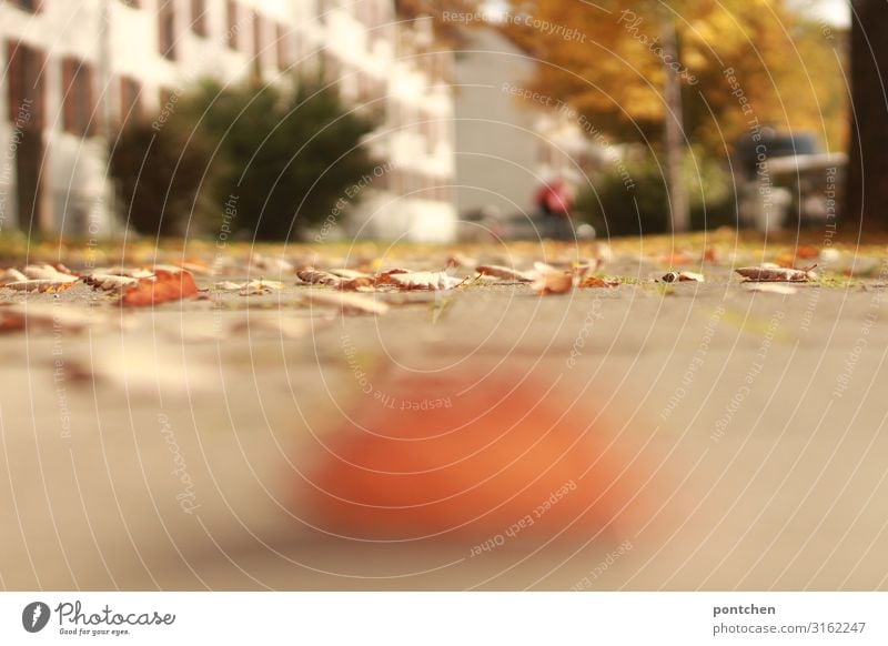 Herbstblätter liegen auf einem Weg. Verschwommener Baum Busch, Haus und Passant im Hintergrund. Wohngegend Unschärfe Blatt gelb orange Fußweg PKW parken