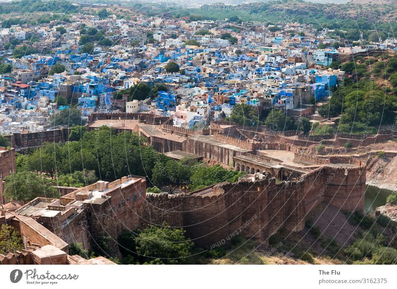 Jodhpur und Meherangarh Fort Sommer Baum Hügel Jodphur Rajasthan Indien Asien Stadt Stadtzentrum Altstadt Menschenleer Haus Burg oder Schloss Ruine Bauwerk