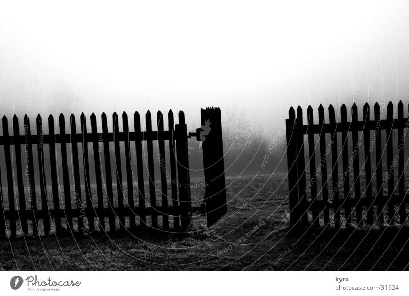 dark garden Zaun dunkel Holz Gras grau Muster Wiese Angelrute Nebel Baum Grauwert kalt Holzbrett Berge u. Gebirge Garten Rasen Tor Tür tief Himmel Pfosten