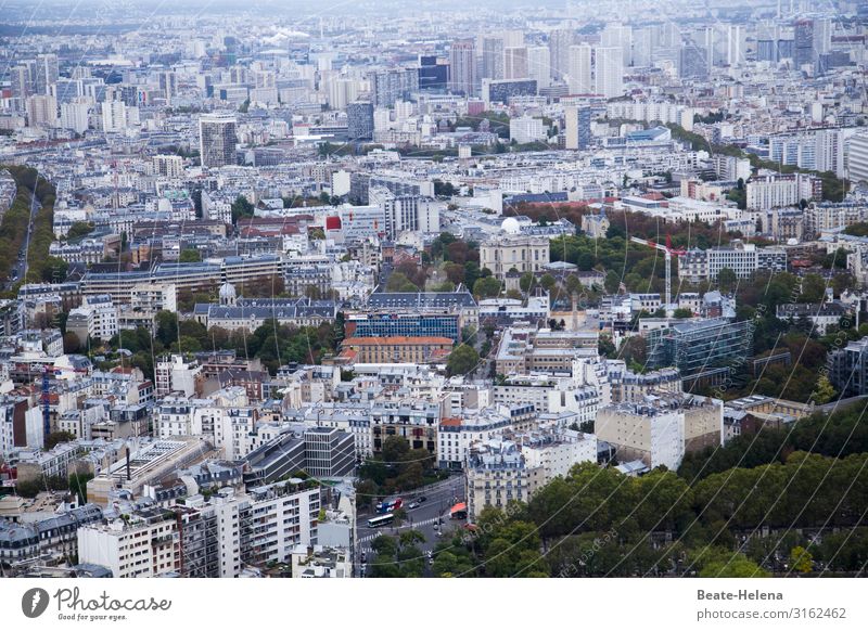 Grünes Paris Lifestyle kaufen Städtereise Häusliches Leben Wirtschaft Industrie Handel Umwelt Pflanze Baum Wald Stadtzentrum Hochhaus Turm Straße Fahrzeug