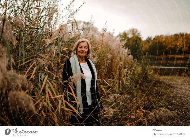 Rente ist schön elegant Stil Frau Erwachsene Weiblicher Senior 60 und älter Natur Landschaft Herbst Schilfrohr Seeufer Mode Mantel Schal blond Erholung Lächeln