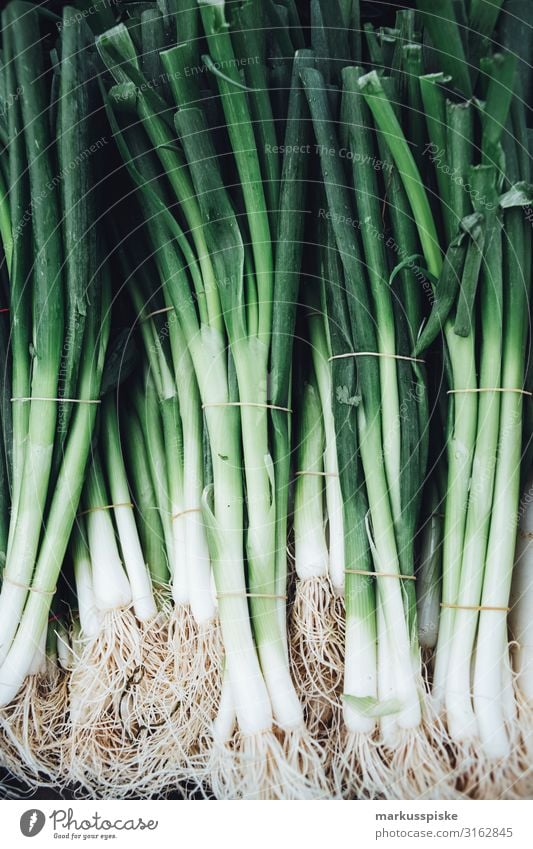 Frischer bio Winterzwiebeln Frühlingszwiebeln Lebensmittel Gemüse Lauchgewächs Bioprodukte Vegetarische Ernährung Diät Slowfood Gesundheit Gesunde Ernährung