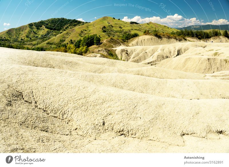 (Un)fruchtbar Umwelt Natur Landschaft Erde Sand Himmel Wolken Sommer Wetter Schönes Wetter Dürre Pflanze Baum Gras Sträucher Wiese Hügel Berge u. Gebirge