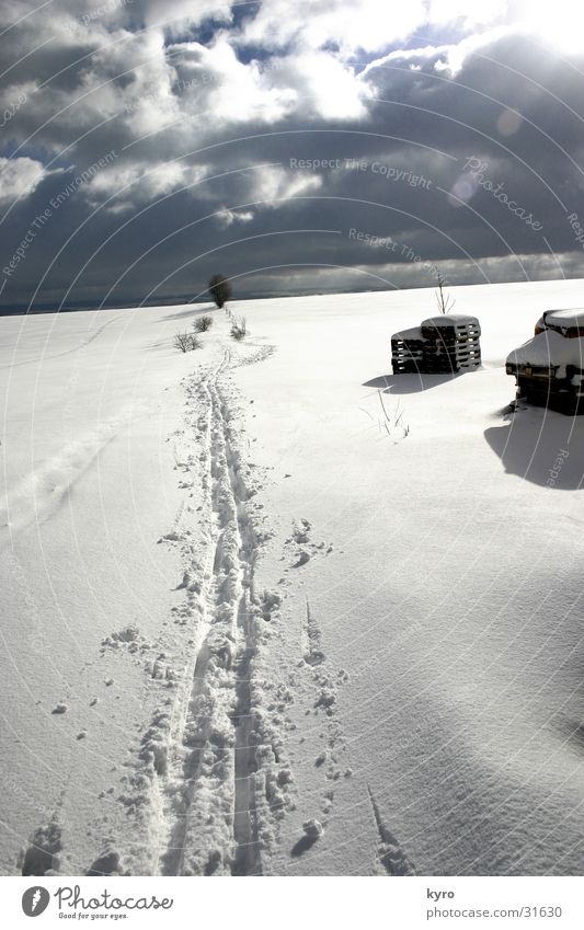 spuren im schnee weiß Schuhe Paletten Holz Baum kalt Wolken Flocke dunkel Schnee Spuren Fuß Himmel Sonne Schatten Eis hell