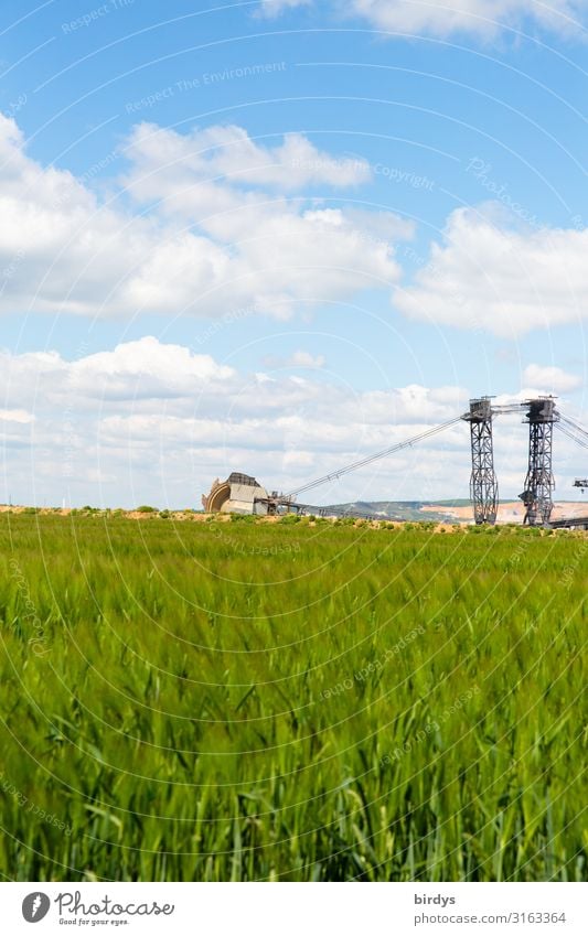 Vor dem Grubenrand Landwirtschaft Forstwirtschaft Braunkohlenbagger Umwelt Landschaft Himmel Wolken Frühling Klimawandel Schönes Wetter Feld Getreidefeld