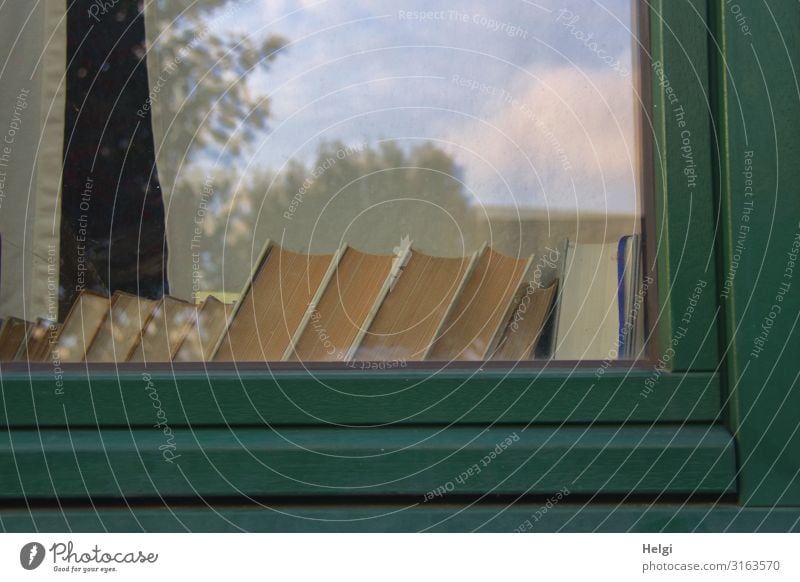 Ausschnitt eines Fensters mit vielen stehenden Büchern auf der Fensterbank Stadt Haus Fensterscheibe Fensterrahmen Buch lesen Häusliches Leben authentisch