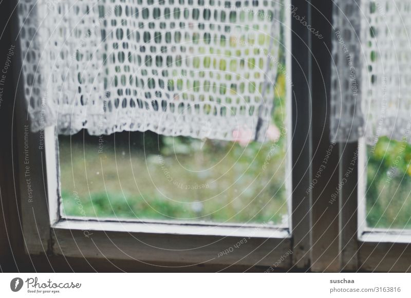 das fenster zum garten Fenster alt Gardine Vorhang Fensterrahmen verwittert verfallen Vergänglichkeit Vergangenheit Fensterscheibe Glasscheibe Durchblick