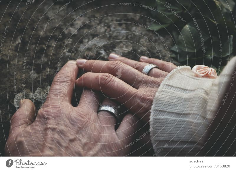 Zusammensein Zusammenhalt Bund Bund für's Leben Ehe schwören Hochzeit Heirat Ehering Hand Finger weiblich männlich Bedeutung Zukunft Symbole & Metaphern Wunsch