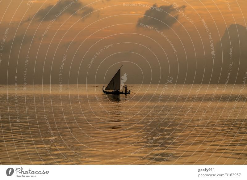 Ab Richtung Wochenende Ferien & Urlaub & Reisen Tourismus Ausflug Abenteuer Ferne Freiheit Sonne Strand Meer Insel Wasser Himmel Wolken Horizont Sonnenaufgang