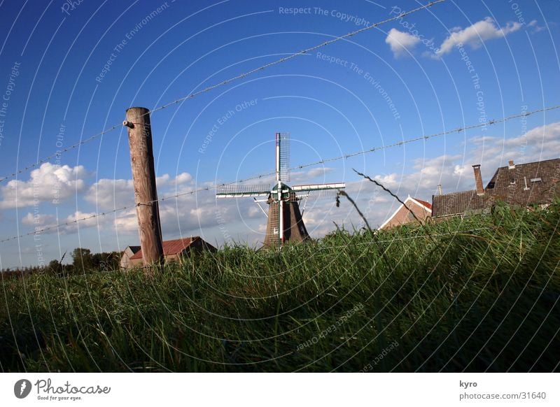 windmühle Windmühle Gras grün Himmel Draht Zaun elektronisch Holz Wiese Wolken zentral sky blau Pfosten Perspektive