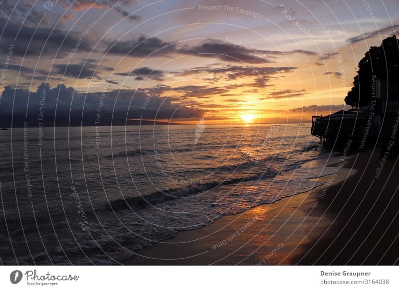 Sunset by the sea in Hawaii Erholung Ferien & Urlaub & Reisen Sommer Strand Meer Umwelt Natur Landschaft Sand Wasser Klima Klimawandel Wetter Kraft ocean