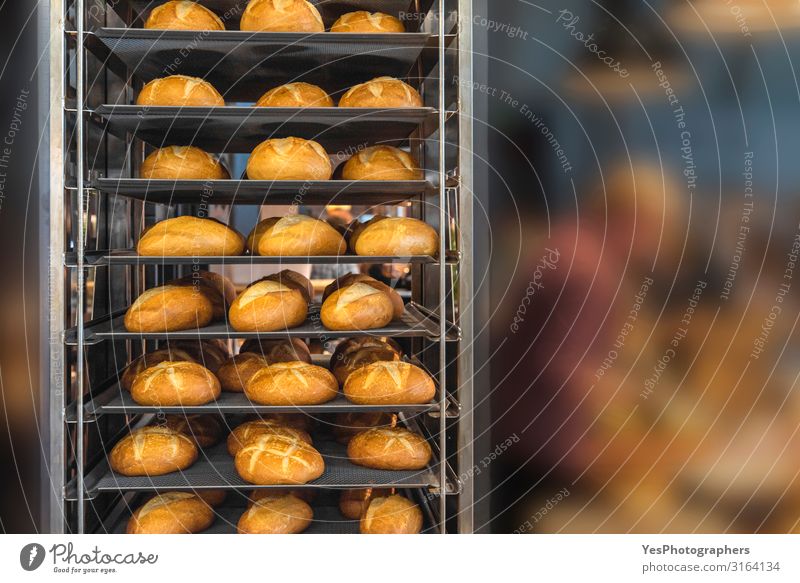 Frische Brote auf Tablettständern. Brötchen in den Bäckerei-Regalen Ernährung Gesunde Ernährung frisch lecker Backwaren Grundnahrungsmittel Brotgestelle