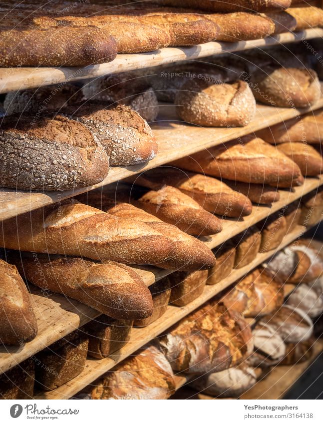 Runde Brote und lange französische Brote auf Regalen. Backwaren. Brötchen Ernährung kaufen Gesunde Ernährung gelb Tradition Sortiment Bäcker Bäckerei