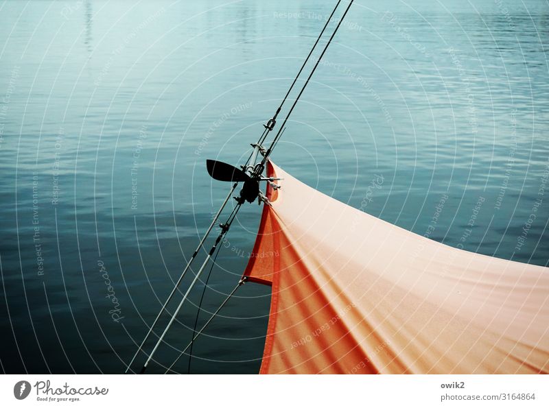 Auf Matrosen ohe Freizeit & Hobby Wasser Ostsee Rostock Jachthafen Schifffahrt Wasserfahrzeug Segel Seil fest maritim blau orange Wasseroberfläche Farbfoto