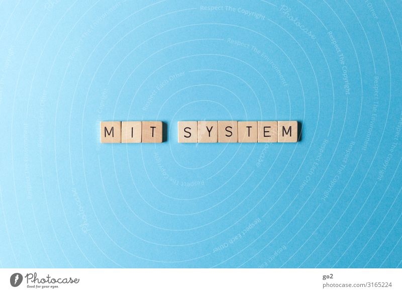 Mit System Spielen Wissenschaften Güterverkehr & Logistik Zeichen Schriftzeichen diszipliniert Ausdauer Ordnungsliebe Bildung Erfolg Gesellschaft (Soziologie)