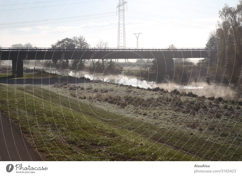 Gegenlichtlandschaftsbild mit Brücke, Fluss und Strommast Ausflug Umwelt Landschaft Pflanze Luft Wasser Sommer Herbst Schönes Wetter Nebel Wiese Sträucher Baum