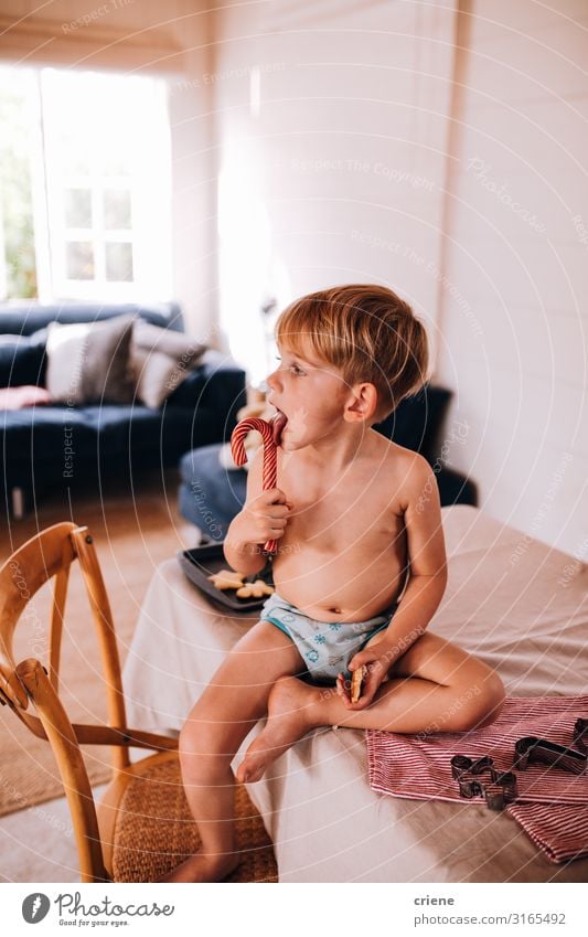 Kleiner Junge isst Weihnachtsbonbons. Essen Glück Sofa Kind Kindheit sitzen Fröhlichkeit klein niedlich Bonbon Weihnachten heimwärts Feiertag jung Menschen Sohn