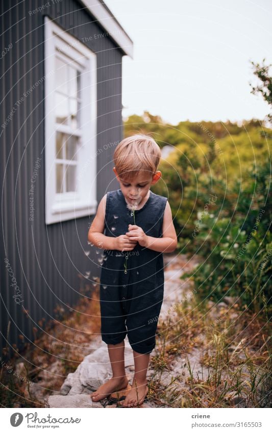 Junge vor einem Haus, der Löwenzahn bläst. Freude Glück Spielen Sommer Garten Kind Mensch Kleinkind Frau Erwachsene Familie & Verwandtschaft Kindheit Natur Gras