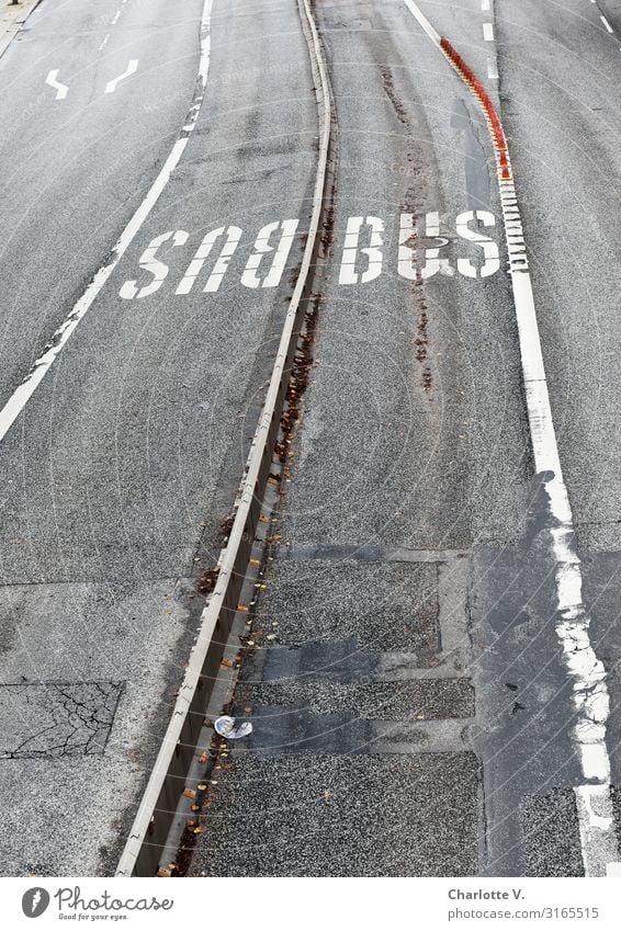 Busspur | UT HH19 Stadt Menschenleer Verkehr Verkehrswege Personenverkehr Öffentlicher Personennahverkehr Straßenverkehr Busfahren Beton Schriftzeichen