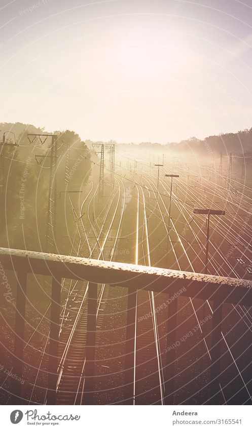 Bahngleise im Morgendunst Ferien & Urlaub & Reisen Ferne Sonne Güterverkehr & Logistik Himmel Wolkenloser Himmel Horizont Wetter Schönes Wetter Nebel Verkehr