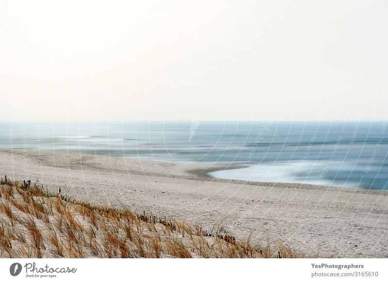 Nordseestrand mit Marmorgras. Sylt Insel Strandlandschaft Erholung Ferien & Urlaub & Reisen Sommer Meer Natur Landschaft Sand Wasser Himmel Klimawandel Küste