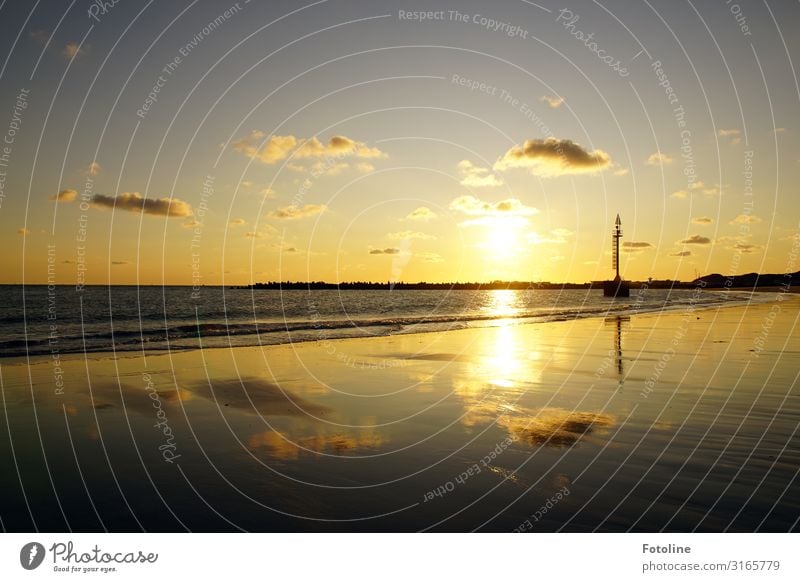 Perfekter Abend Umwelt Natur Landschaft Urelemente Erde Sand Wasser Himmel Wolken Sonne Schönes Wetter Wellen Küste Strand Nordsee Meer Insel hell maritim nass