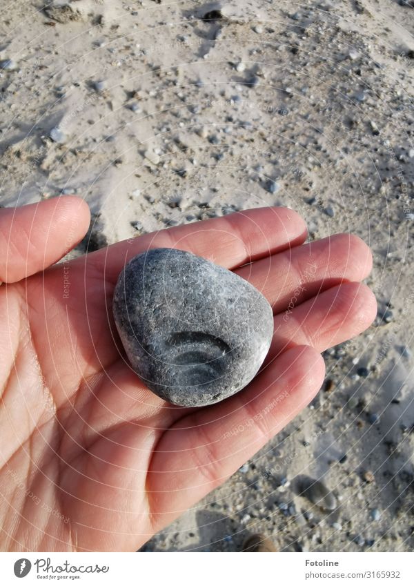 WLAN to go Mensch Haut Hand Finger Umwelt Urelemente Erde Sand Küste Strand hell nah natürlich grau Computernetzwerk Stein finden Farbfoto Gedeckte Farben