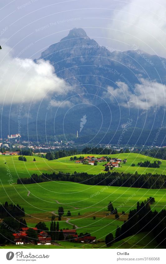 Ausblick im Allgäu Erholung ruhig Meditation Duft Ferien & Urlaub & Reisen Tourismus Ausflug Abenteuer Camping Berge u. Gebirge wandern Fahrradfahren Umwelt