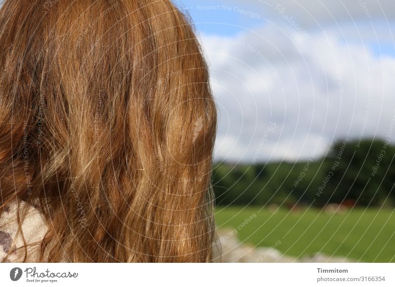 Ausblick Ferien & Urlaub & Reisen Frau Erwachsene Haare & Frisuren 1 Mensch Umwelt Natur Landschaft Pflanze Schönes Wetter Park Wiese Feld Yorkshire