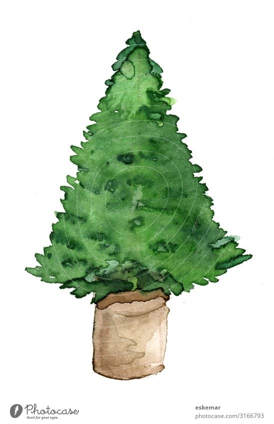 Weihnachtsbaum im Topf, Aquarell auf Papier Feste & Feiern Weihnachten & Advent Kunst Kunstwerk Gemälde Wasserfarbe gemalt Baum Tanne Topfpflanze Blumentopf