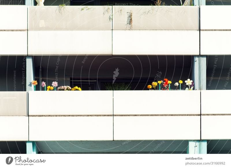 Blumen am Balkon Architektur Haus Wohnhaus Wohnhochhaus Hochhaus Etage Pflanze Blumentopf Menschenleer Textfreiraum Beton Neubau Stadt Stadtleben Leben grün