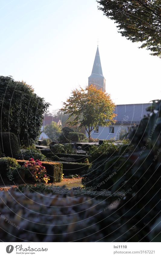 Lichtblick Natur Herbst Schönes Wetter Baum Blume Garten Park Dorf Kirche Turm Bauwerk gelb grau schwarz Menschlichkeit trösten ruhig Traurigkeit Trauer Schmerz