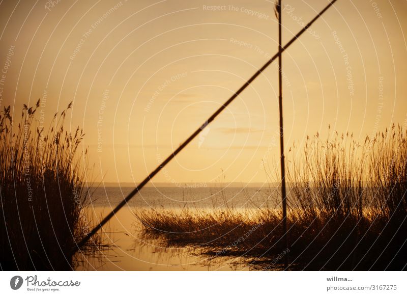 Boddenlandschaft. Bin heute völlich am Bodden. Vorpommersche Boddenlandschaft Ostsee Usedom Abenddämmerung Natur See Küste Seeufer Flussufer Stimmung Loddin