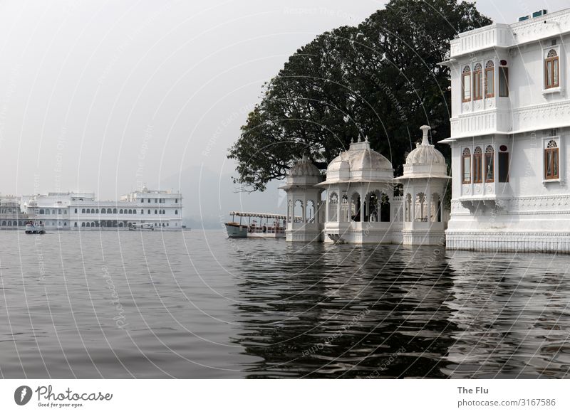 Der Tiger von Eschnapur Ferien & Urlaub & Reisen Tourismus Ferne Städtereise Landschaft Baum Seeufer Pichola See Udaipur Maharadscha Palast Indien Rajasthan