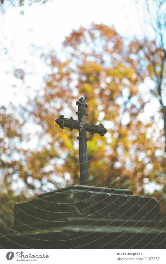 Kreuz Grabstätte Friedhof Senior Leben träumen Traurigkeit Gefühle Mitgefühl trösten Sorge Trauer Tod Christliches Kreuz Farbfoto Außenaufnahme Menschenleer