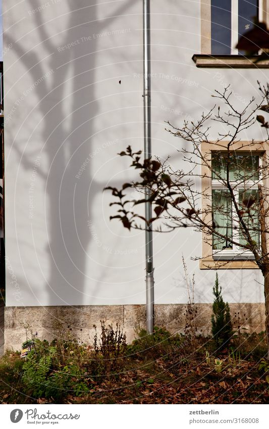 Unbekanntes Gebäude Altbau Haus Wohnhaus Wand Mauer Wohngebiet Häusliches Leben Stadt Stadtzentrum Textfreiraum Stadthaus Mehrfamilienhaus Fassade Fenster