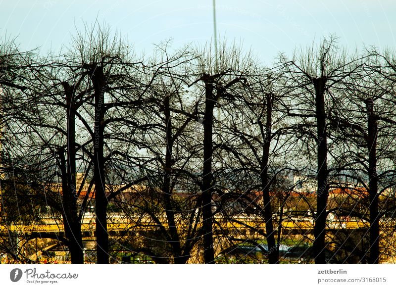 Elbufer, Dresden Altstadt antik Architektur Barock Elbe Klassik Kultur Hauptstadt Reisefotografie Sachsen Stadt Städtereise Tourismus Menschenleer Textfreiraum