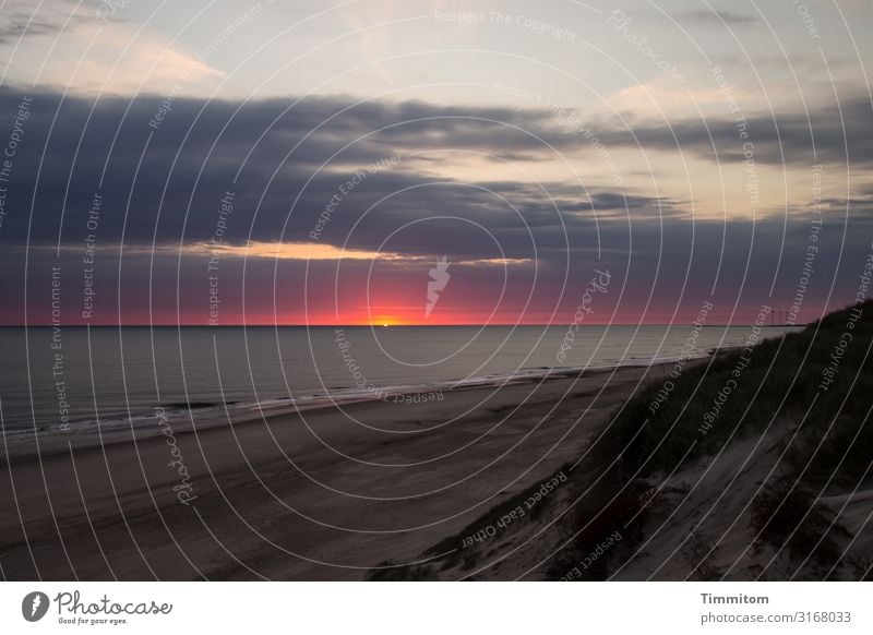 Abends auf der Düne Ferien & Urlaub & Reisen Umwelt Natur Urelemente Sand Luft Wasser Himmel Wolken Nachthimmel Sonnenaufgang Sonnenuntergang Schönes Wetter