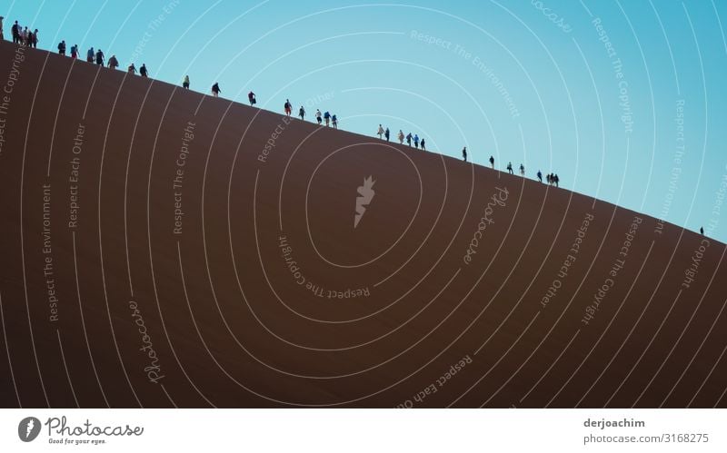 die Karawane zieht weiter ( rechts). Auf der Großen  Sanddüne. Eine Menschengruppe läuft nach oben. Menschenmenge Natur Sommer Schönes Wetter Düne Namibia