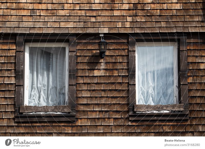 Schwarzwaldhaus mit Schindeln Lifestyle Haus Gebäude Holz alt atmen festhalten genießen verblüht Häusliches Leben authentisch dunkel Originalität Wärme braun