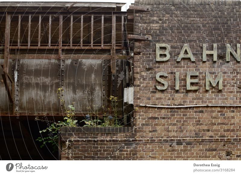 Alter S-Bahnhof in Berlin Siemensstadt Hauptstadt Mauer Wand Brücke Schriftzeichen alt kaputt stagnierend Verfall Zerstörung Vergänglichkeit vergessen Farbfoto