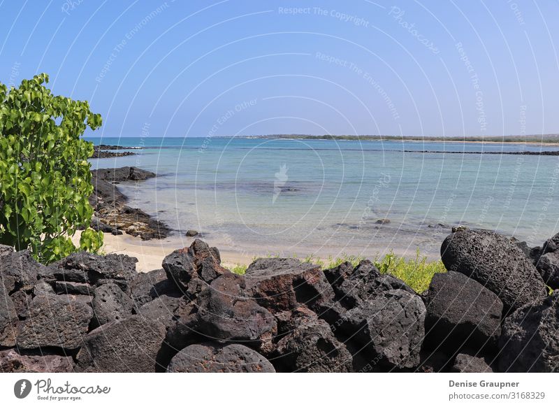 Beautiful view of the sea in Hawaii Ferien & Urlaub & Reisen Tourismus Ausflug Abenteuer Ferne Freiheit Sightseeing Expedition Sommer Sommerurlaub Sonne