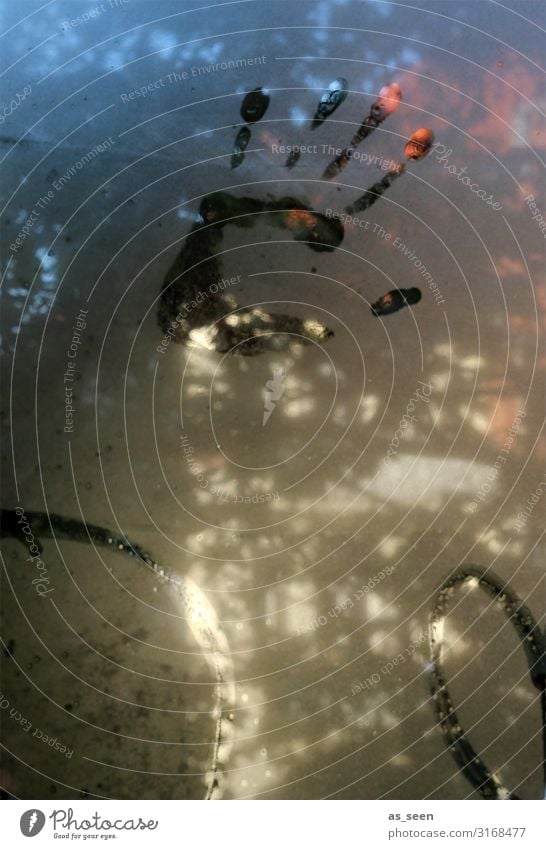 Hand Wohnung Umwelt Natur Herbst Fenster Fensterscheibe authentisch einzigartig nass braun grau schwarz Gefühle Angst Aggression Kindheit Kreativität Ferne