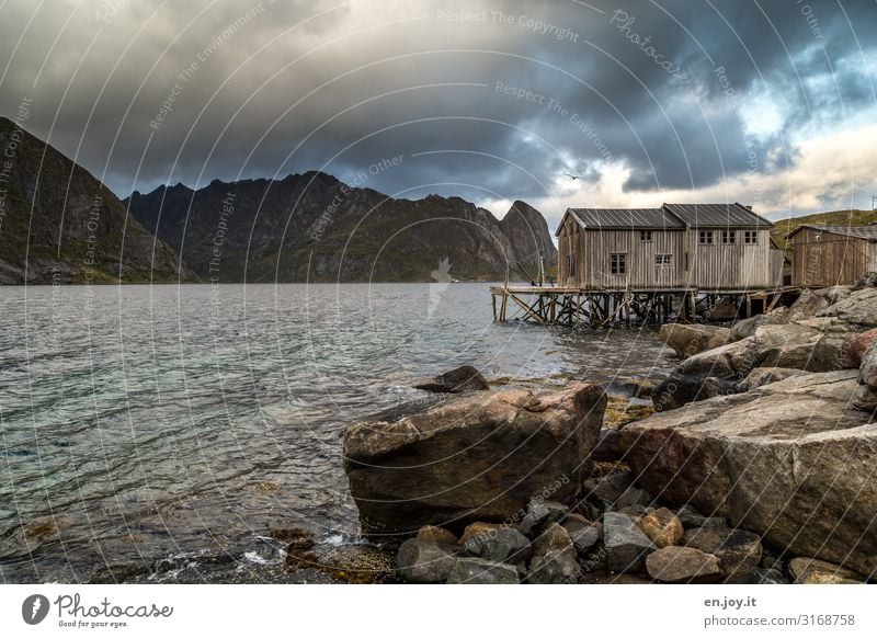 Grau - das neue Rot Ferien & Urlaub & Reisen Umwelt Natur Landschaft Wolken Gewitterwolken Herbst schlechtes Wetter Felsen Berge u. Gebirge Küste Fjord Norwegen