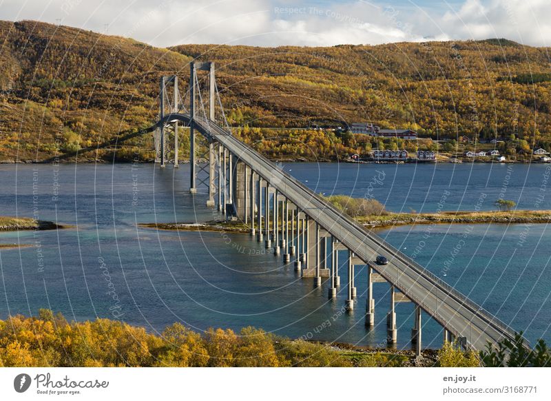 Verbindung Ferien & Urlaub & Reisen Tourismus Ausflug Ferne Umwelt Natur Landschaft Herbst Schönes Wetter Wald Hügel Fjord Insel Lofoten Norwegen Skandinavien