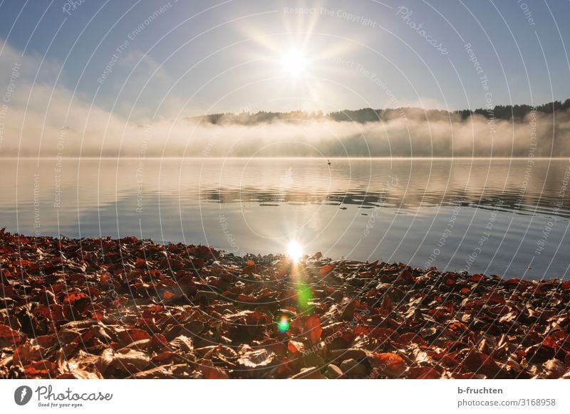 Herbststimmung am See Ferien & Urlaub & Reisen Tourismus Himmel Sonnenlicht Nebel Seeufer Erholung genießen Blick Freundlichkeit Fröhlichkeit Glaube